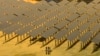 资料照片: 2023年7月12日江苏泰州渔光互补光伏发电基地工人们检查太阳能电池板