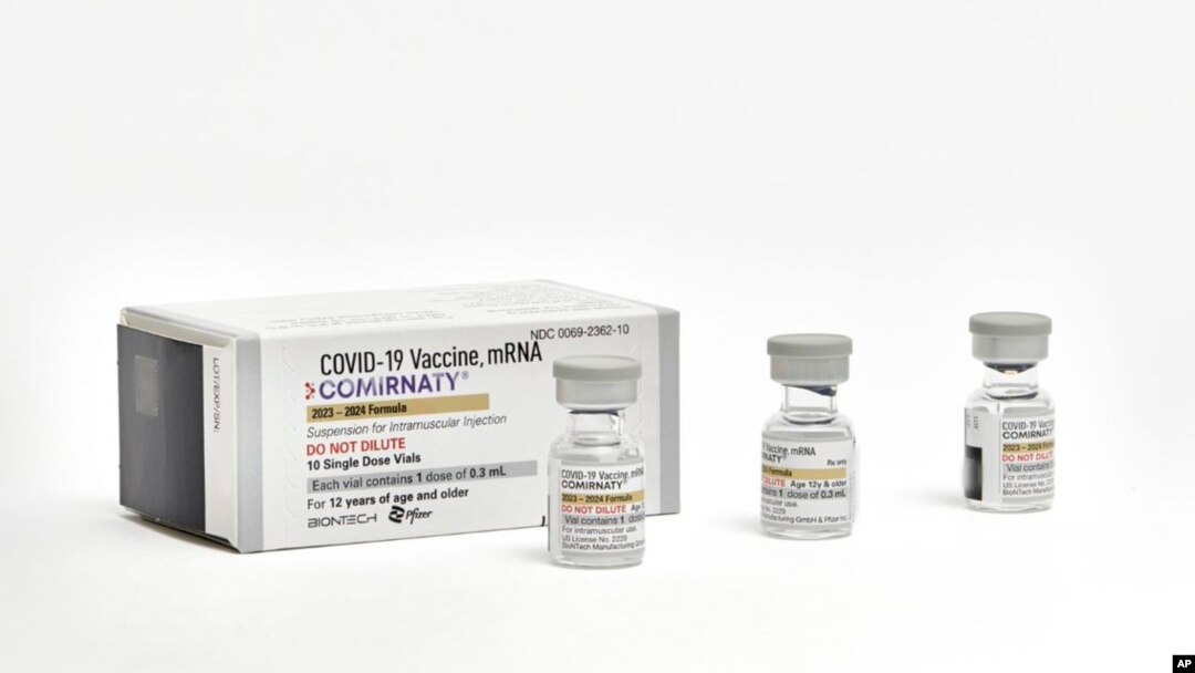 This photo provided by Pfizer in September 2023 shows single-dose vials of the company's updated COVID vaccine for adults. U.S. regulators have approved updated COVID-19 vaccines from Pfizer and Moderna to boost protection this fall and winter.