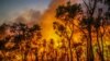 FILE - This handout photo taken Dec. 8, 2021, and obtained on Dec. 10 from the Western Australian Department of Fire and Emergency Services shows a bush fire near Margaret River. 