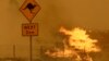 FILE - A fire burns in the grass near Bumbalong, south of the Australian capital, Canberra, Feb. 1, 2020. Conservationists fear the devastating wildfires of 2019-’20 could be a sign of things to come.   