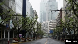 上海封城期间行道树已经长出绿叶。（路透社2022年4月14日）