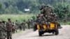 M23 efundami kobama koleka bacivili 50 na Kishishe