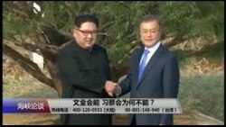 海峡论谈：文金会能 习蔡会为何不能？