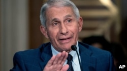 美国顶级传染病专家安东尼·弗契（Anthony Fauci）医生。