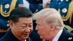 特朗普总统和习近平2017年11月9日在北京人民大会堂交谈。
