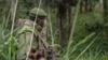 Bakangami ya ba ADF basikolami na ba FARDC na Mamove