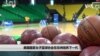 美国国家女子篮球协会在非洲培养下一代