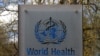 世卫组织将成立新的新冠溯源专家小组，美国表示支持