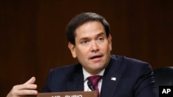 美国联邦参议员马克·鲁比奥（Marco Rubio）（美联社 资料照）
