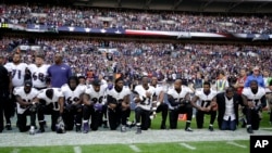 美国NFL球队巴尔的摩乌鸦队球员在与杰克逊维尔美洲虎队的比赛前奏国歌仪式上集体单腿跪地。（2017年9月24日)