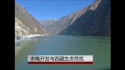 从藏木水电站看西藏面临的生态危机