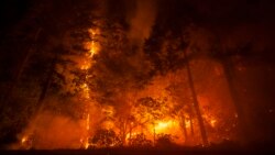 Más de cuatro mil bomberos trabajan en la contención del incendio forestal más grande reportado en lo que va del año en California.
