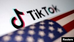 资料照片：TikTok的标志和美国国旗。