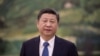 分析人士质疑中国新试点的反腐体系