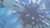 世卫促重启病毒溯源 科学问题为何扑朔迷离？