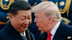 美国总统川普与中国国家主席习近平在北京人民大会堂举行的欢迎仪式上交谈。（2017年11月9日）