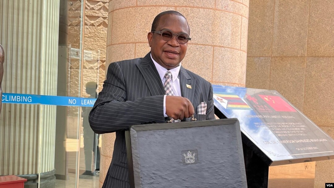 Finance Minister Mthuli Ncube