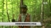 环保组织拯救森林和工作机会