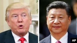 美国总统川普(左图)，中国国家主席习近平