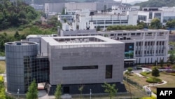 中国科学院武汉病毒研究所一座实验室（法新社资料图）