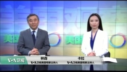 美国观察 2019年3月28日