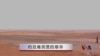 实地报道：约旦难民营里的艰辛