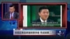 央视北美记者激辩美学者，芮成钢再现？