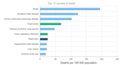 세계보건기구 WHO가 보고서 '2019 Global Health Estimates'를 발표하며 북한의 사망 원인 순위를 발표했다.