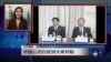 VOA连线：中国公司在欧洲大举并购
