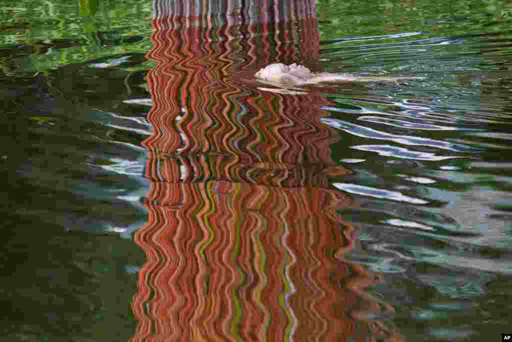 A man floats past the reflection of a public sculpture standing by a river in Beijing.
