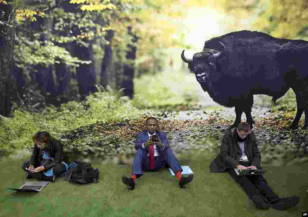 Participants sit in front of a poster during a break at the U.N. Climate Conference COP23 in Bonn, Germany.