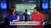 小夏看美国：巴拿马文件为何不见美国高官？