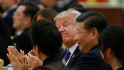 焦点对话：连续对美国出招，习近平软硬拿捏如何？